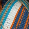 Picture of Diversity Sock -629