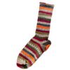 Picture of Forever Sock - 407