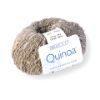 Picture of Quinoa