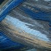 Picture of Diversity Sock -629