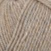 Picture of Encore Worsted