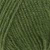 Picture of Encore Worsted