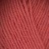 Picture of Encore Worsted