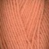Picture of Encore Worsted