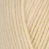 Picture of Encore Worsted