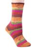 Picture of Berroco Comfort Sock